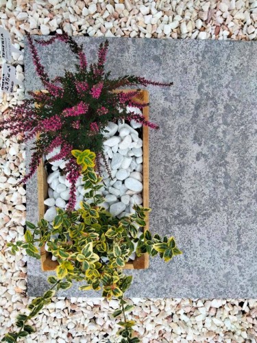 Płytki Wapień Temeria