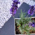 Gres 20MM